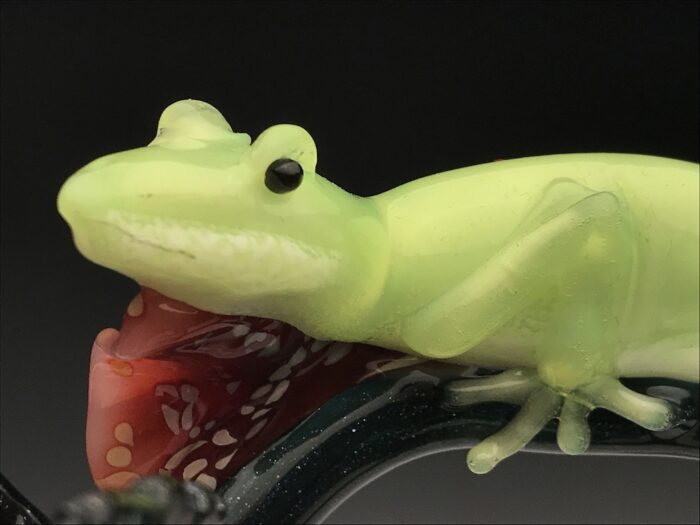 Anole Lizard on Hibiscus - Image 7